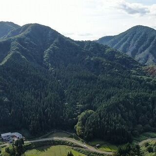 【成約済】山林物件　秋田県横手市山内