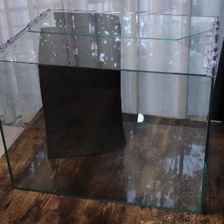 ＡＤＡ　60cm×45ｃｍ×45ｃｍ　ワイド水槽