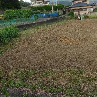 売地 鹿児島県いちき串木野市 広々153坪