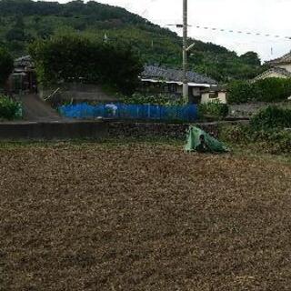 売地 鹿児島県いちき串木野市 広々153坪 - いちき串木野市