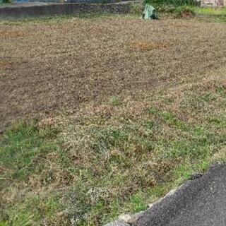 売地 鹿児島県いちき串木野市 広々153坪 (すてまる) 串木野の