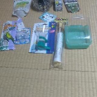 鳥の餌やツボ巣の画像