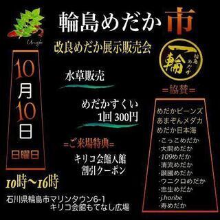 改良めだかの展示・即売会・メダカ掬い
