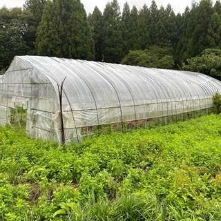 ビニールハウス　農業　骨組み