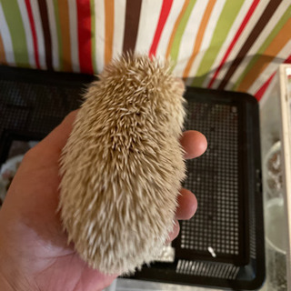 写真アップしました。メッセージ下さった方々も、改めてメッセージく...