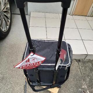 ボトルフライヤー　12本　保冷　キャリーバッグの画像