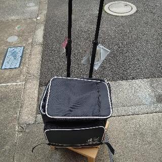 ボトルフライヤー　12本　保冷　キャリーバッグの画像