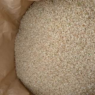 令和3年 栃木県産 新米 コシヒカリ 30kg  ③