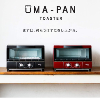 TIGER KAE-G13N-K マットブラック やきたて