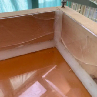 爬虫類ケージの画像