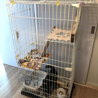 猫ゲージ　（購入者が決定しました）