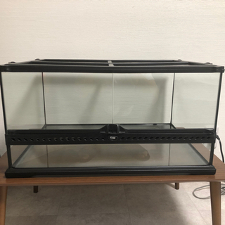 ジェックス エキゾテラ グラステラリウム 6030