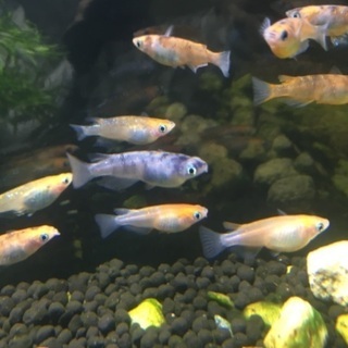 こんにちは