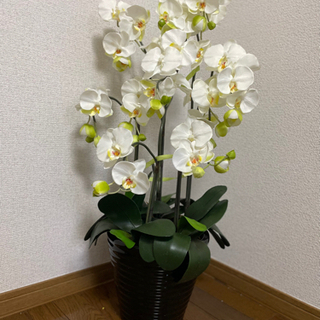 造花　胡蝶蘭
