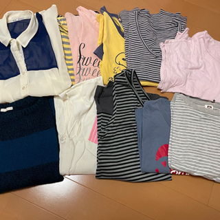 レディース　半袖　M サイズ　12枚セット