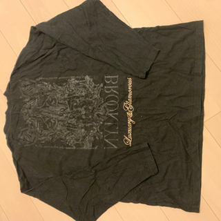 大きめ4Lサイズ　ロングTシャツの画像