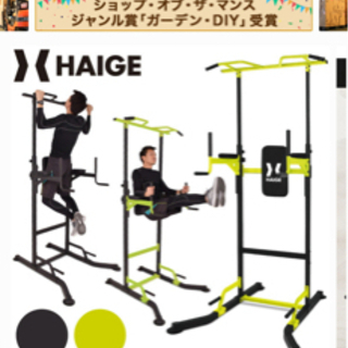 【無料で差し上げます】ハイガー産業 ぶらさがり健康器