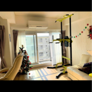 【無料で差し上げます】ハイガー産業 ぶらさがり健康器の画像
