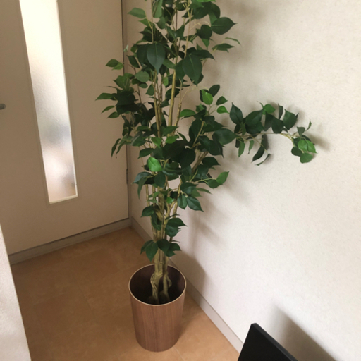 観葉植物 フェイクグリーン