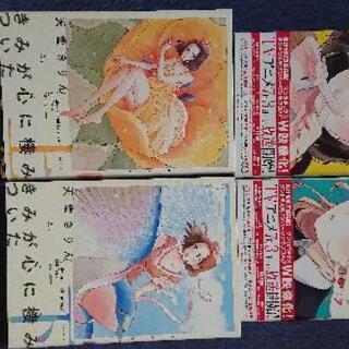 恋と嘘  君が心にすみついた  マンガ 二冊セット