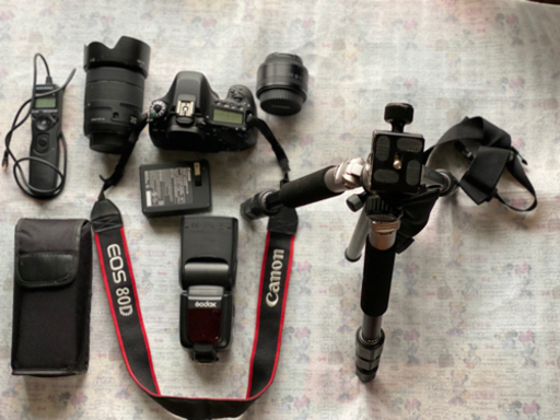canon 80D 