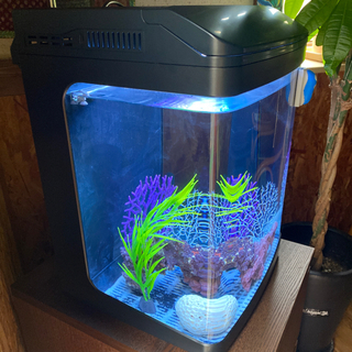 水槽　NISSO  取りに来て頂ける方限定！！の画像