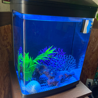 水槽　NISSO  取りに来て頂ける方限定！！の画像