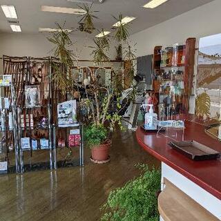 美容室での助手、経験なくてもOK!の画像