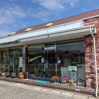 美容室での助手、経験なくてもOK!の画像