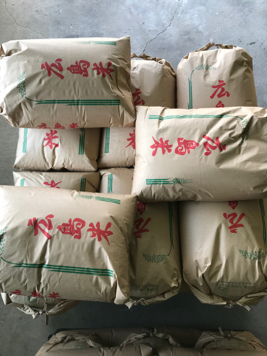 農家直送　令和三年　玄米アキサカリ　　30kg