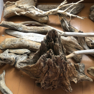 最終値下げ　流木まとめての画像