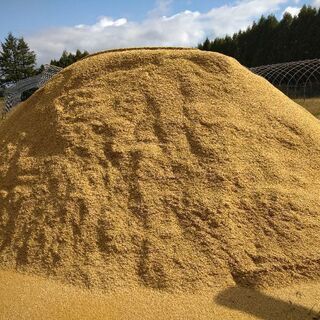 籾殻　1キロ100円販売します　