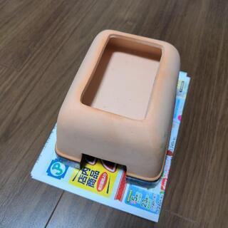 トカゲのおうち