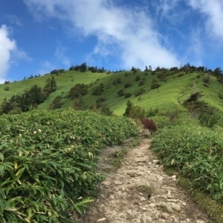 ふらっと登山メンバー募集　1月は初心者低山企画 − 愛知県