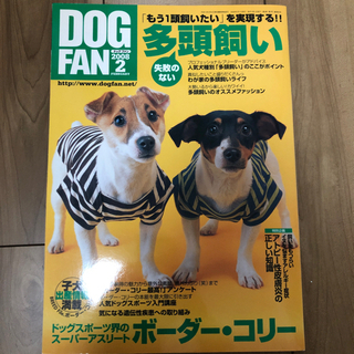 DOG FAN