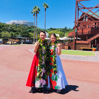 月3回　フラ初心者クラス募集！元町駅近くです。の画像