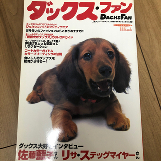ダックスファン