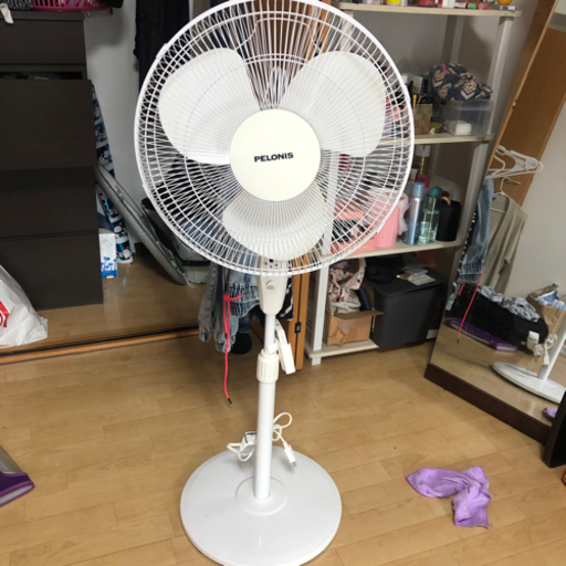 大きい扇風機