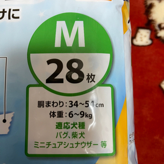 犬　オムツの画像