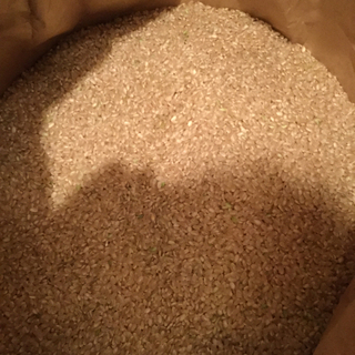 お米お売りします。値下げ中！の画像