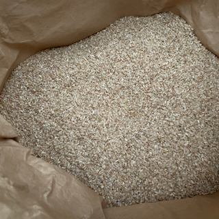 令和2年！鳥取県産くず米玄米 200kg以上規格外品　飼料などに　手渡し大歓迎玄米 の画像
