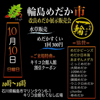 改良メダカ展示販売会