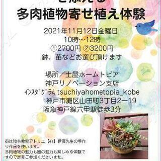 多肉植物寄せ植え体験