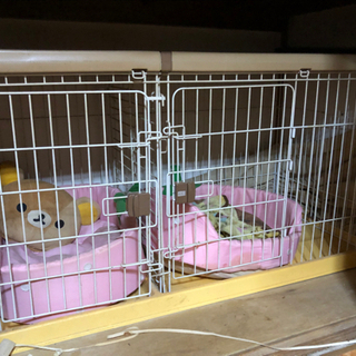 お譲り先決まりました　ペット　ゲージ　犬