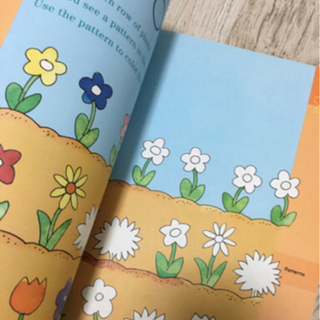 BRAIN QUEST WORKBOOK                オールカラー学習本です🌈の画像