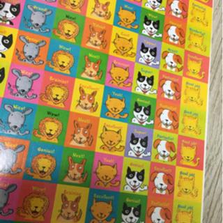 BRAIN QUEST WORKBOOK                オールカラー学習本です🌈の画像