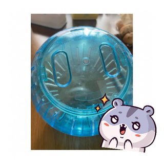 ハムスター用お散歩ボール