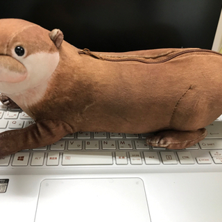 交渉中です。カワウソ　ペンケース　ヒゲなし　差し上げます