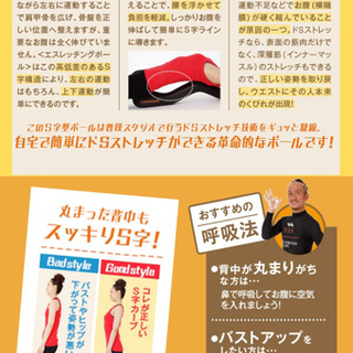 エスレッチングポールの画像