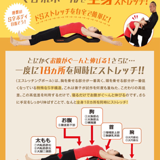 エスレッチングポールの画像